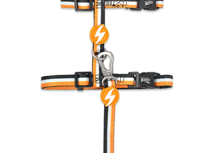 Dashi Stripes Orange & Black Cat Harness and Leash Set – Adjustable, Durable Design