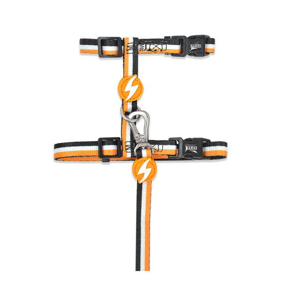 Dashi Stripes Orange & Black Cat Harness and Leash Set – Adjustable, Durable Design