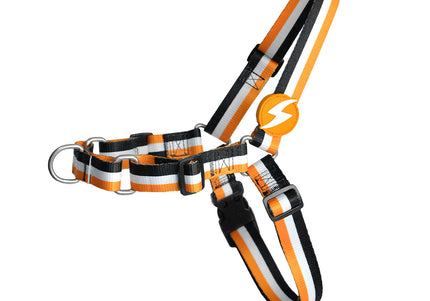 Dashi Stripes Orange & Black Front Harness – No-Pull Norwegian Design, Medium Size