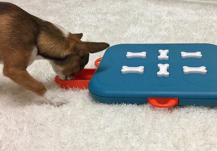 Nina Ottosson Dog Casino Level 3 Puzzle – Interactive Treat-Dispensing Game, Advanced Challenge