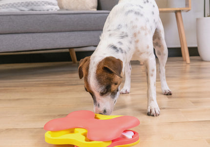 Nina Ottosson Dog Tornado Interactive Puzzle Game – Level 2, Small Size, Engaging Design