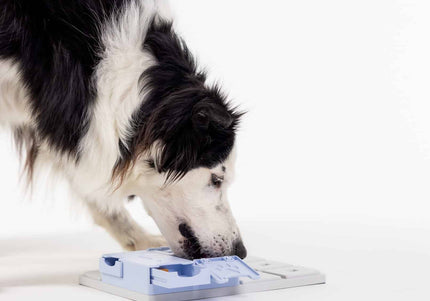 Pawzler Bunny Dog Puzzle Module – Level 3 Bonus Block, Durable Interactive Design