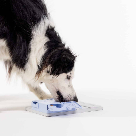 Pawzler Bunny Dog Puzzle Module – Level 3 Bonus Block, Durable Interactive Design