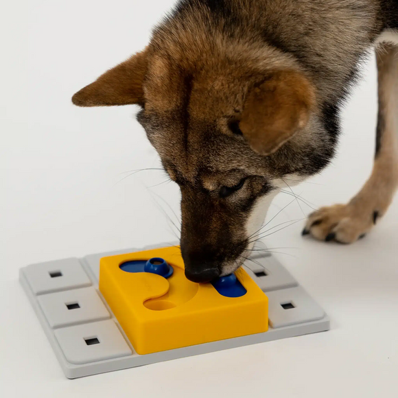 Pawzler Kaya Dog Puzzle Module – Level 2 Interactive Bonus Block, Durable Design