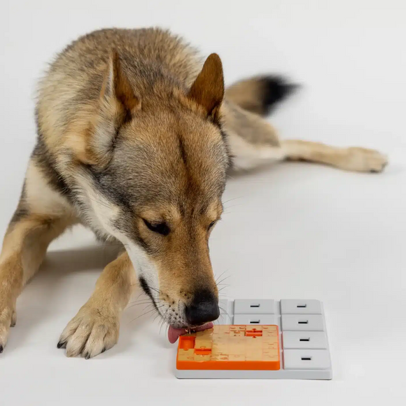 Pawzler Terra Dog Puzzle Module – Level 1 Bonus Block with Licking Mat, Engaging Design