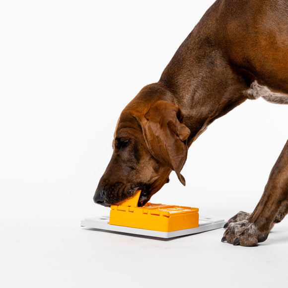 Pawzler Piper Dog Puzzle Module – Level 3 Interactive Bonus Block, Durable Design