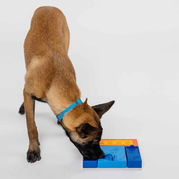 Pawzler Interactive Dog Puzzle Beginner Set – Modular 6-Piece Enrichment Toy, Engaging Design
