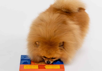Pawzler Interactive Dog Puzzle Beginner Set – Modular 6-Piece Enrichment Toy, Engaging Design