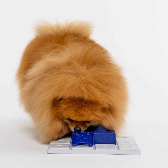 Pawzler Sela Dog Puzzle Module – Level 3 Bonus Block, Durable Interactive Design