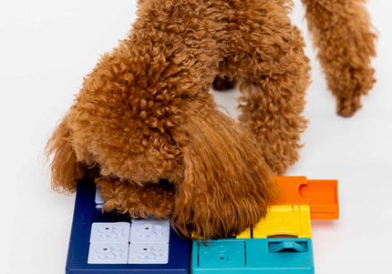 Pawzler Interactive Dog Puzzle Smarty Set – Modular Enrichment Toy, 7-Piece Brain Challenge