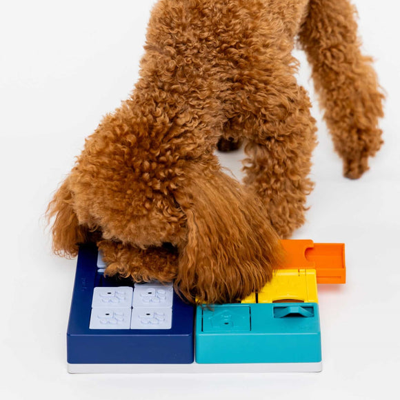 Pawzler Interactive Dog Puzzle Smarty Set – Modular Enrichment Toy, 7-Piece Brain Challenge