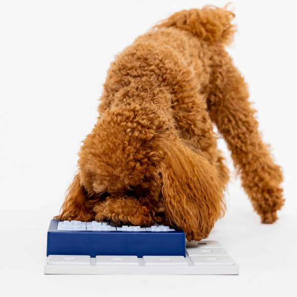 Pawzler Louvre Dog Puzzle Module – Level 3 Interactive Bonus Block, Durable Design