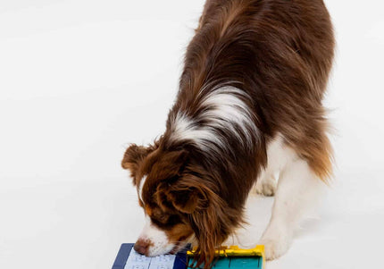 Pawzler Interactive Dog Puzzle Smarty Set – Modular Enrichment Toy, 7-Piece Brain Challenge