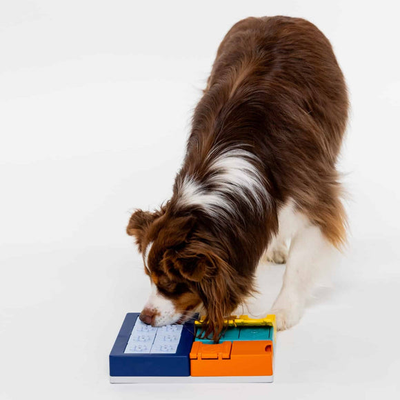 Pawzler Interactive Dog Puzzle Smarty Set – Modular Enrichment Toy, 7-Piece Brain Challenge