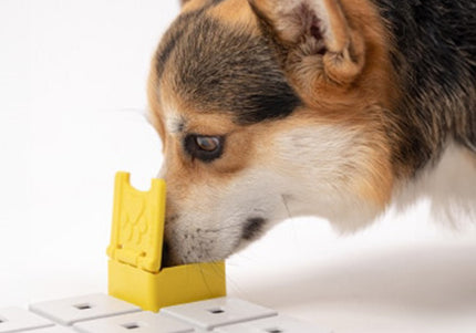 Pawzler Zoey Dog Puzzle Module – Level 2 Interactive Bonus Block, Durable Design