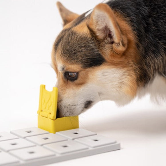 Pawzler Zoey Dog Puzzle Module – Level 2 Interactive Bonus Block, Durable Design