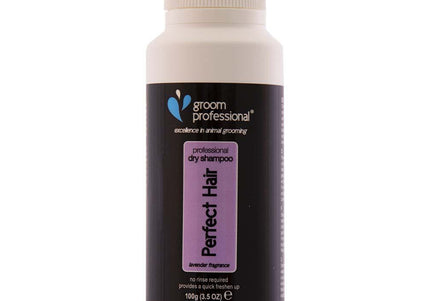 Groom Professional Perfect Hair Dry Shampoo 100g – Powder Formula, Fast-Acting Freshness Booster