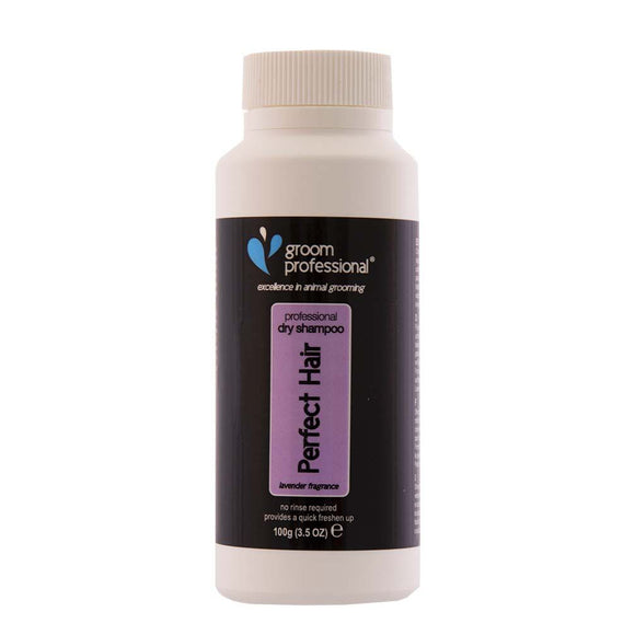 Groom Professional Perfect Hair Dry Shampoo 100g – Powder Formula, Fast-Acting Freshness Booster