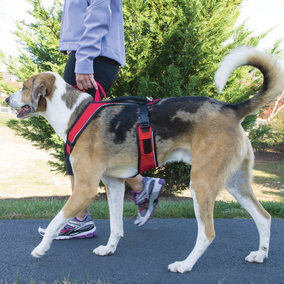 PetSafe Easy Sport Harness Red – Pressure-Free Adjustable Design, Small Size, Comfortable Fit