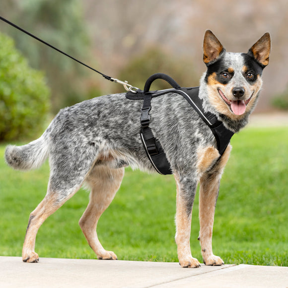 PetSafe Easy Sport Harness Black – Pressure-Free Adjustable Dog Harness, Small Size