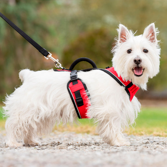 PetSafe Easy Sport Harness Red – Pressure-Free Adjustable Design, Small Size, Comfortable Fit