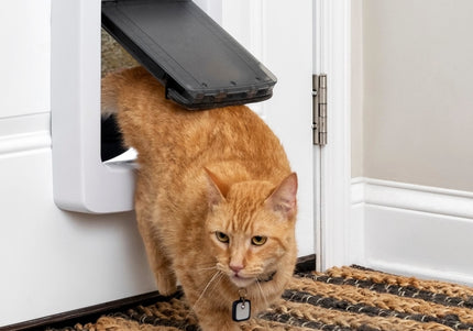 PetSafe SmartDoor Connected Key – Microchip Access Device, Large Size, Secure Entry