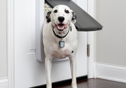 PetSafe SmartDoor Connected Key – Microchip Access Device, Large Size, Secure Entry