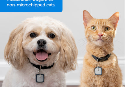 PetSafe SmartDoor Connected Key – Microchip Access Device, Large Size, Secure Entry