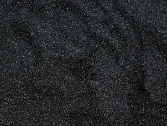 <h2>Are You a Professional Groomer?</h2>