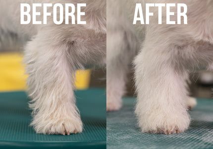 Show Tech+ Dry Shampoo Spray 200ml – Texturizing Formula, Fast-Acting and Residue-Free