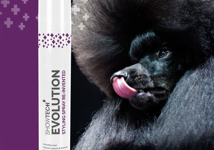 Show Tech+ Evolution Styling Spray 500ml – Lightweight Finishing Mist, Long-Lasting Hold and Shine