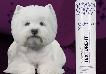 Show Tech+ Texture-It Volumizing and Stripping Powder 20g – Lightweight Styling Formula for Enhanced Volume and Texture