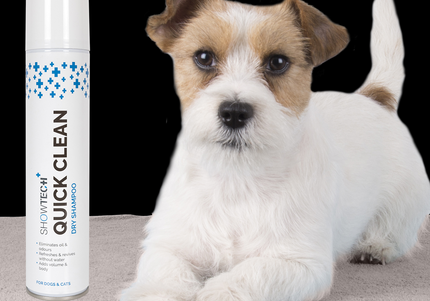 Show Tech+ Dry Shampoo Spray 200ml – Texturizing Formula, Fast-Acting and Residue-Free