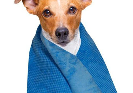 Doogy Cooling Towel 66x43cm – Soft Blue Quick-Chill Fabric, Reusable and Lightweight