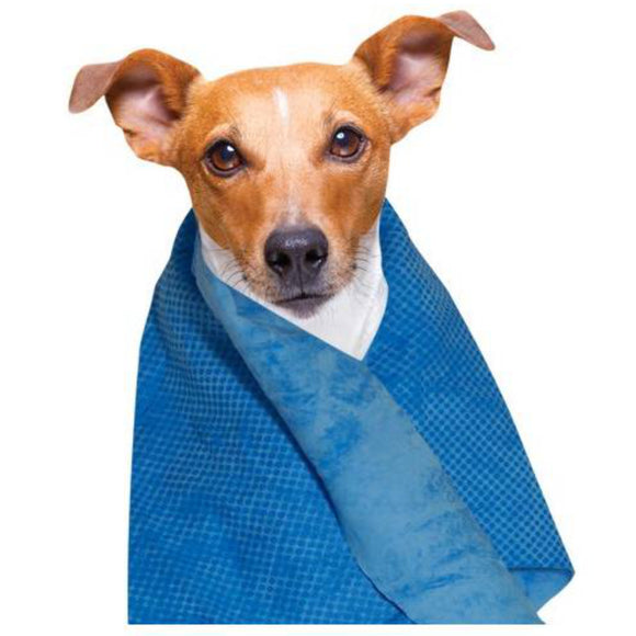 Doogy Cooling Towel 66x43cm – Soft Blue Quick-Chill Fabric, Reusable and Lightweight