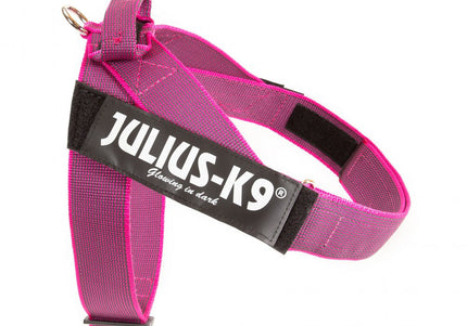 Julius-K9 IDC Color&Gray Belt Harness Pink – Fuchsia Mini-Mini, Adjustable and Durable Design