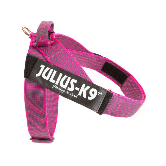 Julius-K9 IDC Color&Gray Belt Harness Pink – Fuchsia Mini-Mini, Adjustable and Durable Design