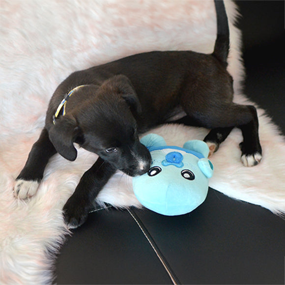 Dashi Albu Plush Toy – Soft 16cm Blue Creature with Squeaker, Durable Design