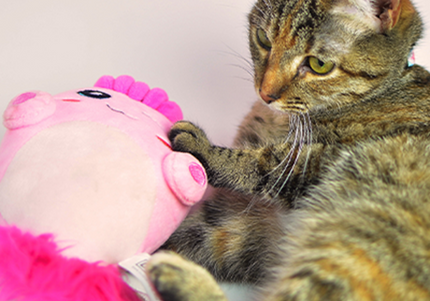 Dashi Fini Plush Squeaker Toy 20cm – Soft Pink Creature, Durable and Engaging