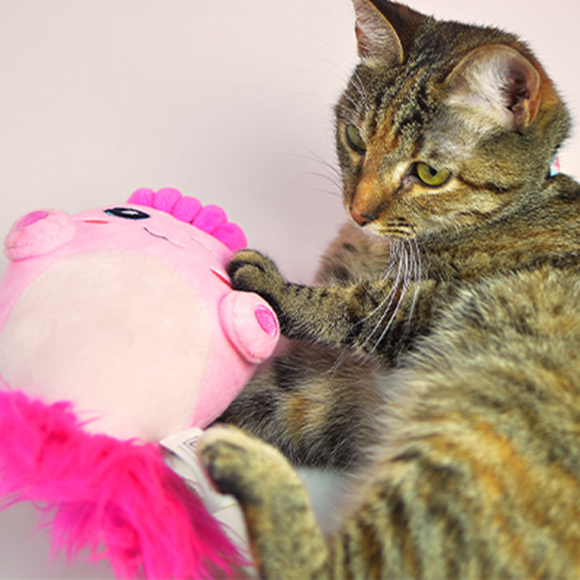 Dashi Fini Plush Squeaker Toy 20cm – Soft Pink Creature, Durable and Engaging