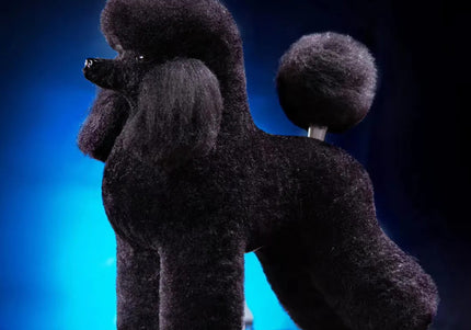 Mr. Jiang Poodle Full Body Hair Lamb – Black Replacement Coat for Grooming Mannequin, Realistic Texture