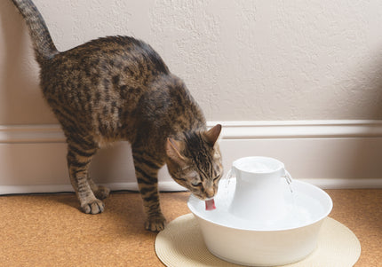 PetSafe Drinkwell Avalon Ceramic Fountain – 2L Capacity, Hygienic and Easy-to-Clean Design