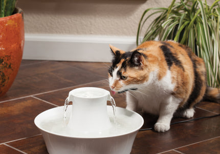 PetSafe Drinkwell Avalon Ceramic Fountain – 2L Capacity, Hygienic and Easy-to-Clean Design