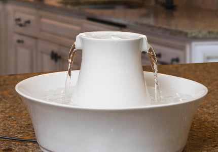 PetSafe Drinkwell Avalon Ceramic Fountain – 2L Capacity, Hygienic and Easy-to-Clean Design