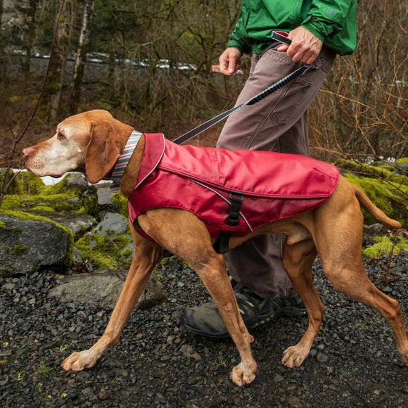 Kurgo Springback Leash 122cm – Shock-Absorbing Running Lead with Flexible Bungee Design