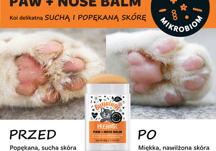 Bugalugs Pre Post + Probiotic Cat Paw & Nose Balm Stick - 40 g