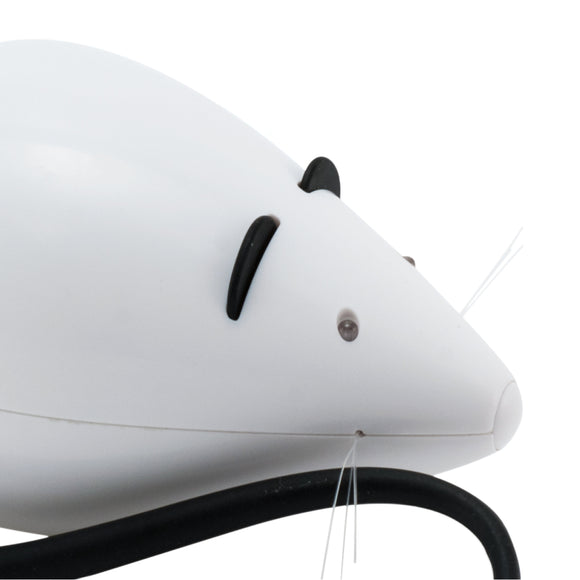 PetSafe RoloRat Automatic Cat Teaser – Interactive Rat Toy with Built-In Timer, Engaging Play