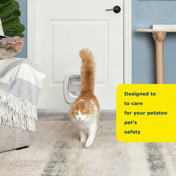 PetSafe Big Cat Flap – Large Pet Door with Secure Lock, Supports Up to 11kg