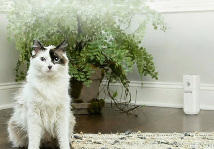 PetSafe SSSCAT Automatic Spray Deterrent – Motion Sensor, Odorless Repellent for Indoor Use