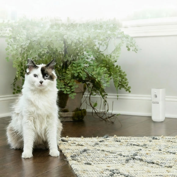 PetSafe SSSCAT Automatic Spray Deterrent – Motion Sensor, Odorless Repellent for Indoor Use